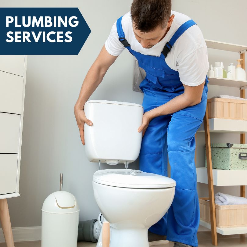 Plumbing Company in Mccausland, IA